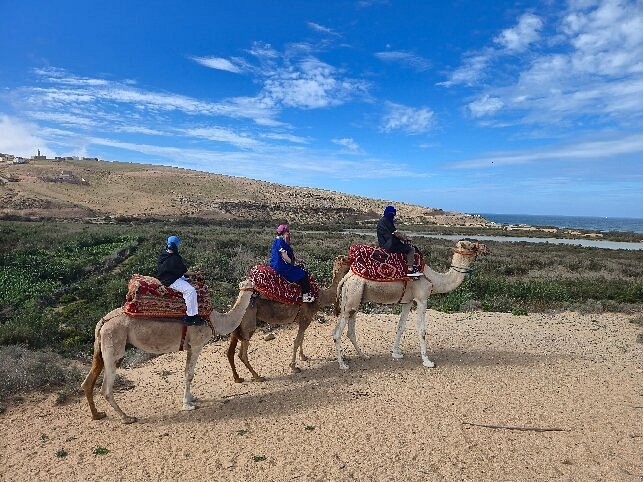 Camel riding tour Agadir at golden hour